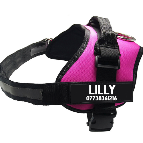 Pet Chest Harness