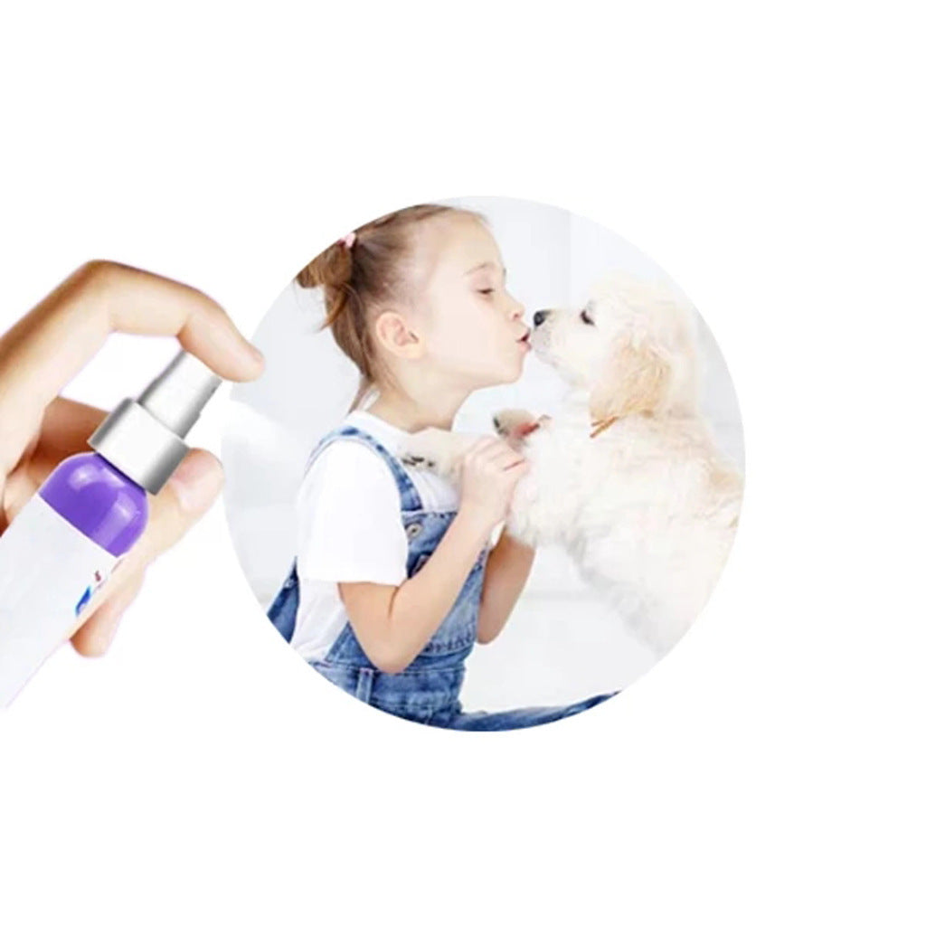 Pet dog antibacterial oral deodorant