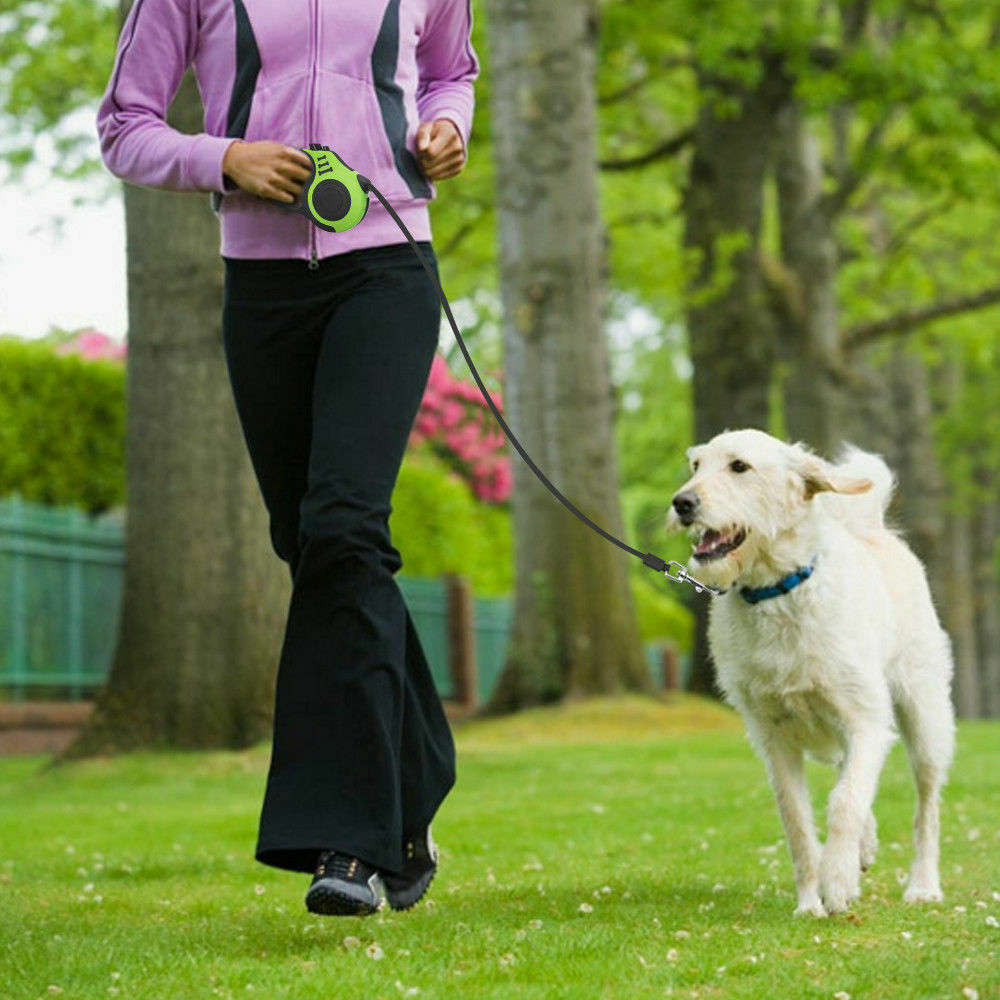 Automatic Retractable Dog Leash Pet