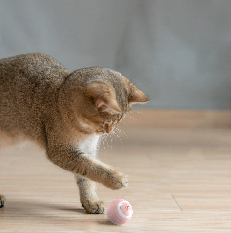 Pet Automatic Teasing Ball Toy