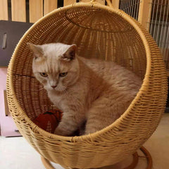 Cat Mattress Cradle Breathable bed