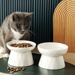 Pet Cat Protects Spine Bowl